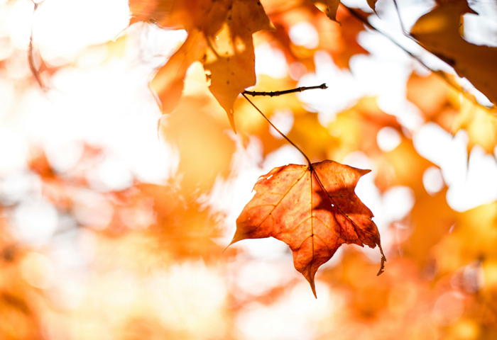 【Levo Medical: Knowledge Sharing】Does dry peeling and moisturizing not work? Why is the skin 'not drinking enough'