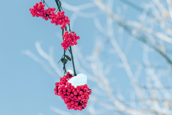 【萊沃醫療：知識分享】今日小雪，快“藏”好這份健康秘籍！
